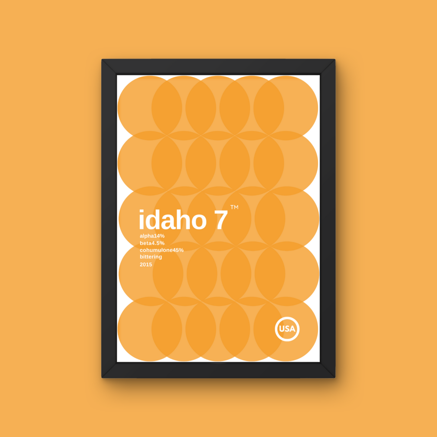 Idaho 7