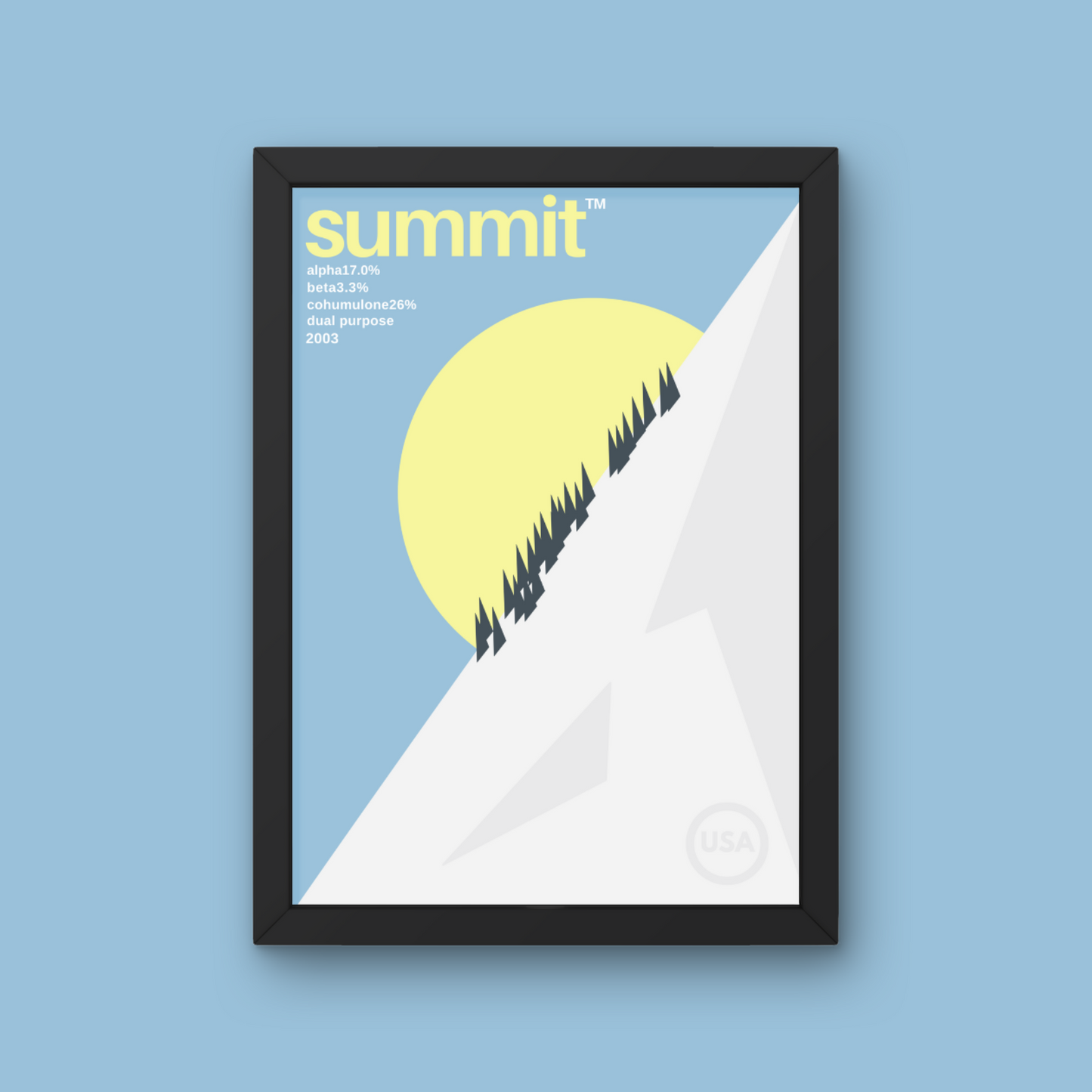 Summit