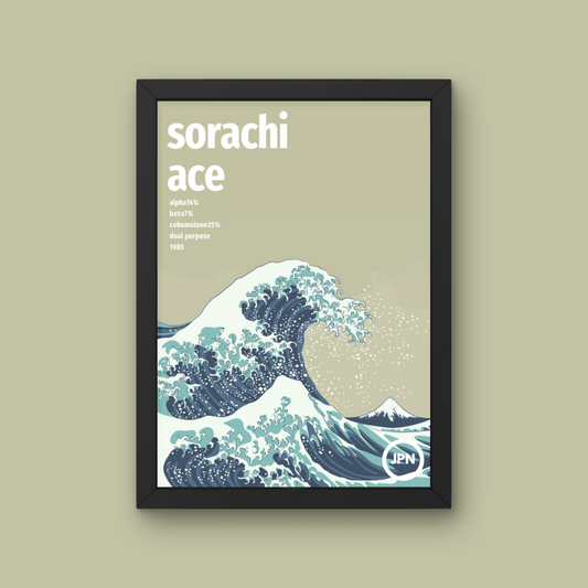 Sorachi Ace