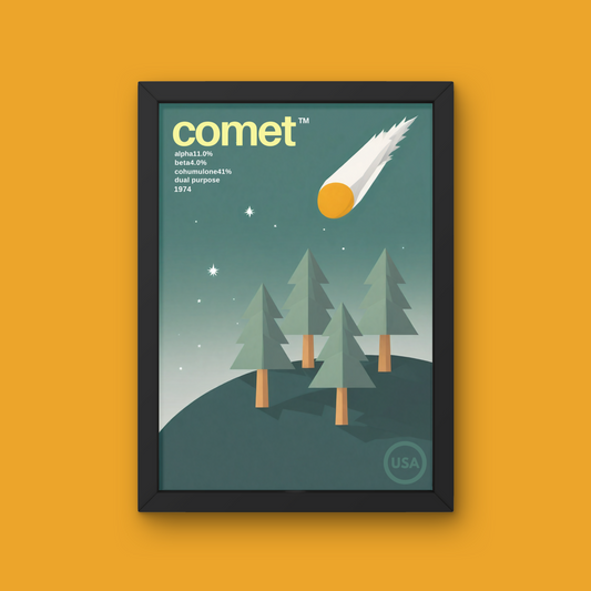 Comet